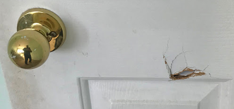 interior door hole repair Fillmore