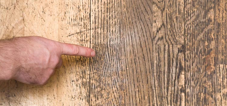 Wood Door Scratch Repair in Fillmore